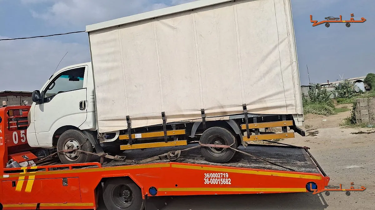 صورة السطحة سطحة القنفذة